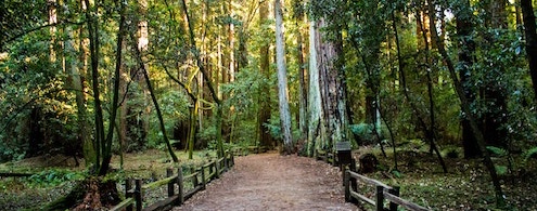 The Family Foundation: Mission, Vision & Beyond