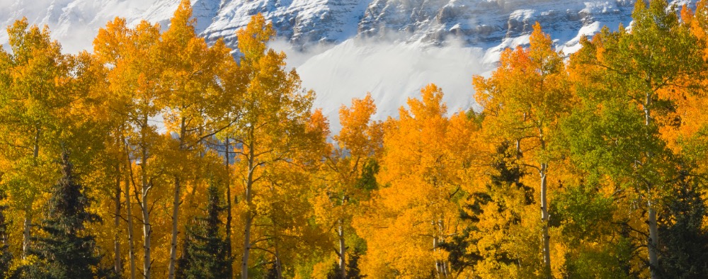 Helping the Rising Generation Make Better Decisions